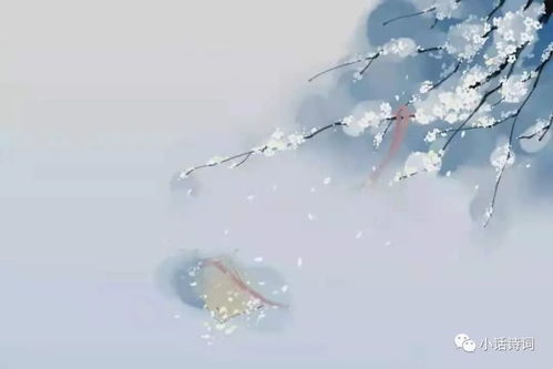 (红尘和浮华之间深刻的联系,缠绵不绝什么意思)红尘和浮华之间深刻的联系，缠绵不绝