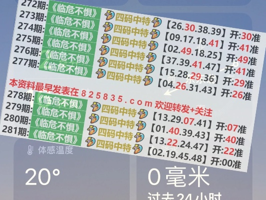 2024澳门天天开好彩精准24码|神秘法则揭示成功秘籍_协作款.7.911