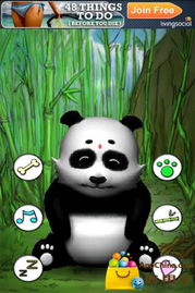 招财熊猫免费版下载-招财熊猫官网下载v.0.63