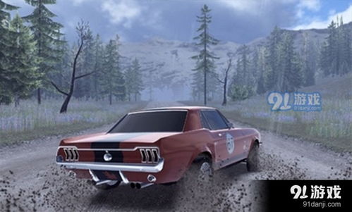 CarX拉力赛中文版中文下载手机版-CarX拉力赛中文版内购免费版v.3.54