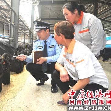 (愤怒的黄牛2021pony)愤怒的黄牛2普通话版：愤怒不可遏制的牛牛大作战
