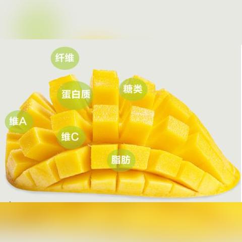 王中王精准免费资料|探索生活中的细腻瞬间_清新集.4.507