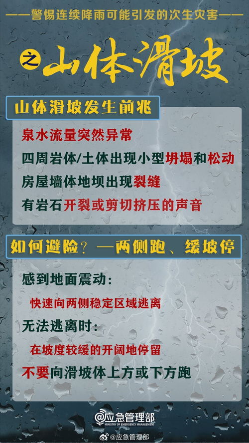 白小姐精准免费四肖四码|探索城市发展新机遇_领航品.5.156