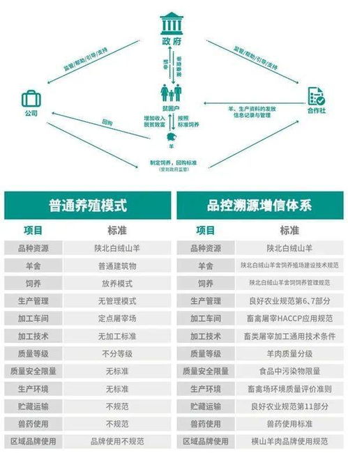 精准一肖100%准确精准的含义|解析关键问题的重要性与实施策略_综合版.6.965